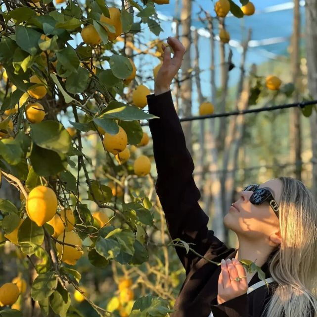 Sorrento: Lemon Experience With Harvesting and Tasting Tour - Important Information