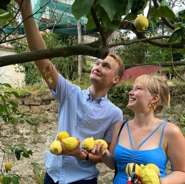 Sorrento: Lemon Experience With Harvesting and Tasting Tour - Directions