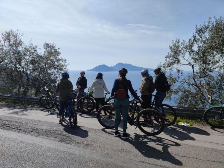 Sorrento: Lemon Nursery Guided Tour & E-Bike Experience - Activity Details
