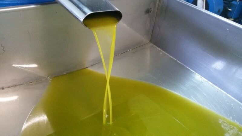Sorrento: Lemon, Olive Oil and Wine Tasting Tour with Lunch - The Itinerary in Detail