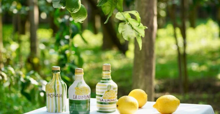 Sorrento Lemon Tour - Activity Highlights