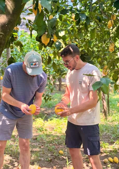 Sorrento: Lemon Tour with Limoncello Tasting - Good To Know