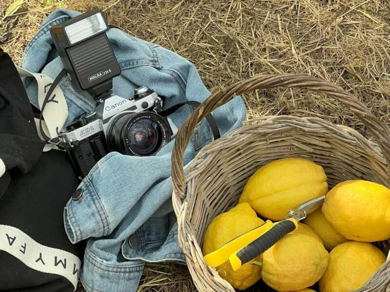 Sorrento: Lemon Tour with Limoncello Tasting - FAQ Section