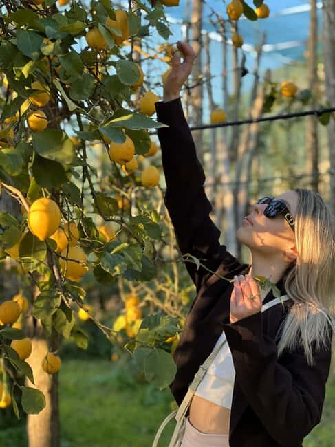 Sorrento: Lemon Tour with Limoncello Tasting - In The Sum Up