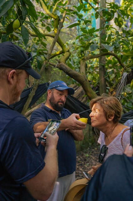Sorrento: Lemons Grove, Farm Tour&Tasting and Pizza Class - Culinary Highlights