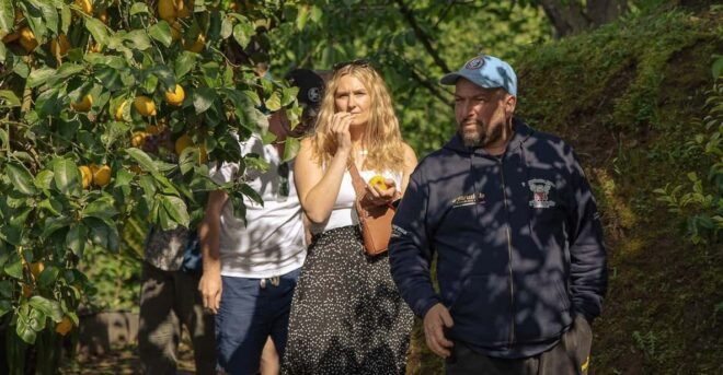 Sorrento: Lemons Grove, Farm Tour&Tasting and Pizza Class - Inclusions of the Tour