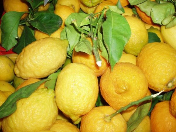 Sorrento: Limoncello Factory Tour and Tasting Experience - The Sum Up