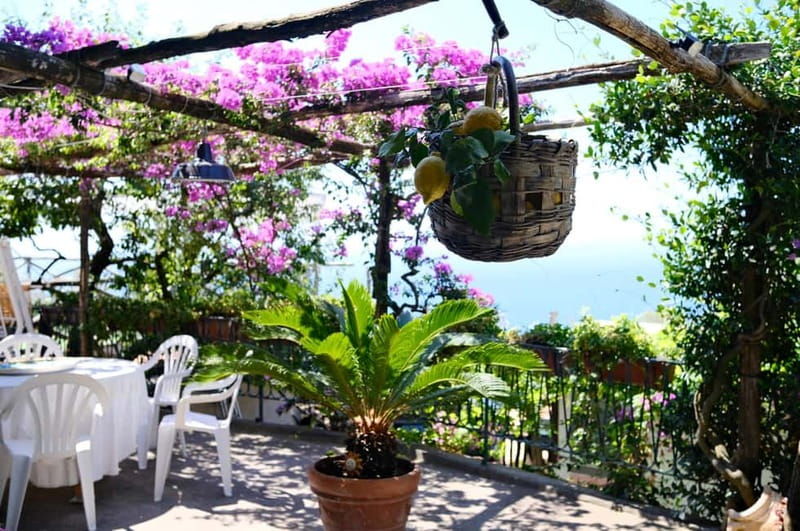 Sorrento: Marì Cooking Class in a Family Farm w/ Coast View - Practical Tips