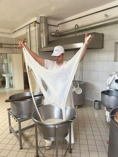 Sorrento: mozzarella cheese workshop in Vico Equense - Good To Know