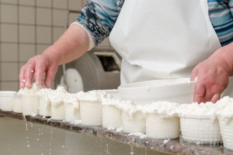 Sorrento: mozzarella cheese workshop in Vico Equense - Practical Details & Value