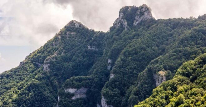 Sorrento Peninsula: Monte Faito E-Bike Tour Private Transfer - Included Services