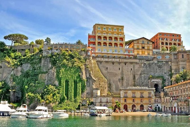 Sorrento & Pompeii From Rome - Private Day Trip - Inclusions and Amenities