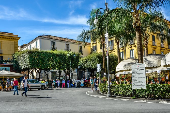 Sorrento & Pompeii Ruins From Rome - Private Tour - Tour Highlights