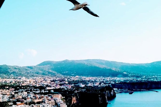 Sorrento - Positano - Pompeii - Pompeii: A Glimpse of Ancient Life