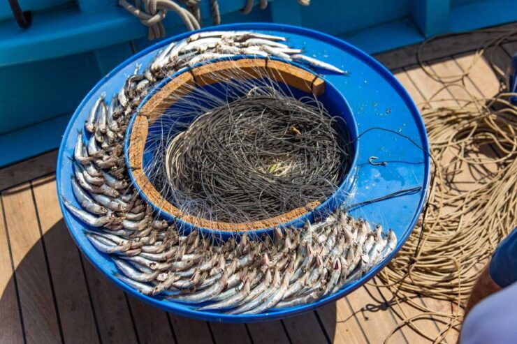 Sorrento: Sea-Fishing Tour With Lunch Onboard - Good To Know