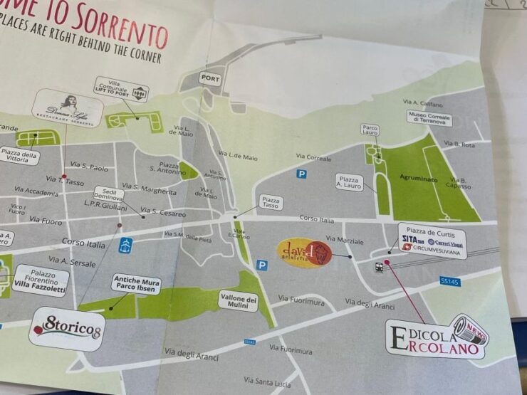 Sorrento: Skip-the-Line Pompeii Express Tour by Train - Booking Details