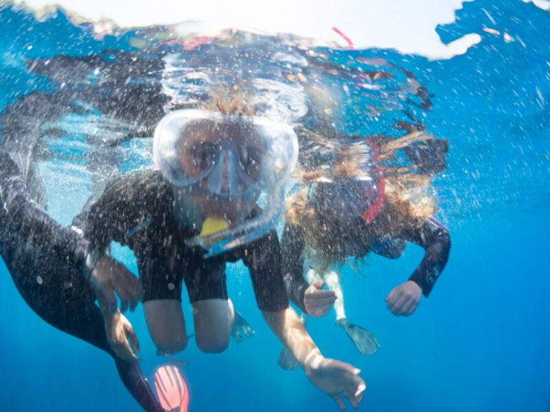 Sorrento: Snorkeling morning tour with a Marine Biologist. - Sorrento: Snorkeling morning tour with a Marine Biologist