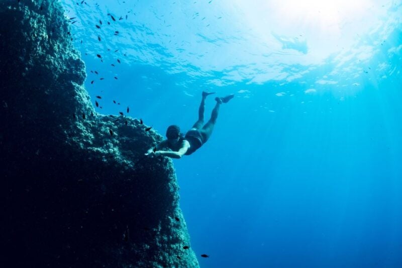 Sorrento: Snorkeling morning tour with a Marine Biologist. - Why You’ll Love This Snorkeling Tour
