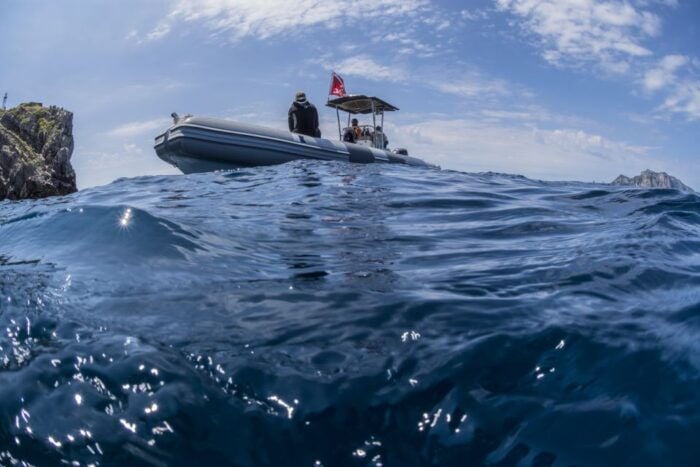 Sorrento: Snorkeling morning tour with a Marine Biologist. - Authentic Insights from Reviews