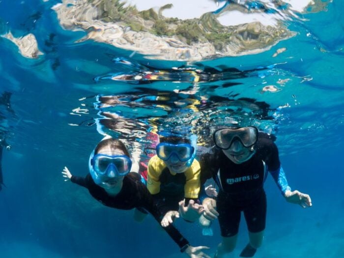 Sorrento: Snorkeling morning tour with a Marine Biologist. - Final Thoughts
