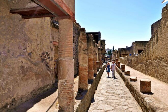 Sorrento: Transfer to Naples With Herculaneum Guided Tour - Booking Information