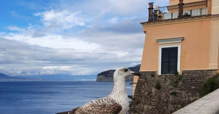 Sorrento: Walking in the Grand Tour With Stunning Landscapes - Highlights