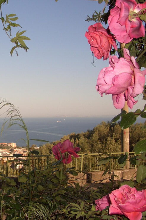 Sorrento: Walking Tour in Lemon Garden W/ Food Tasting - Itinerary and Highlights