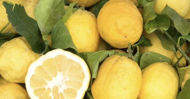 Sorrento: Walking Tour in Lemon Garden W/ Food Tasting - Included in the Tour