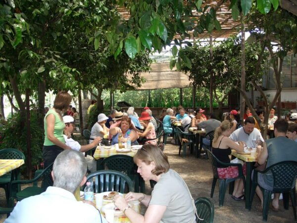 Sorrento: Walking Tour in Lemon Garden W/ Food Tasting - Lemon Garden Exploration