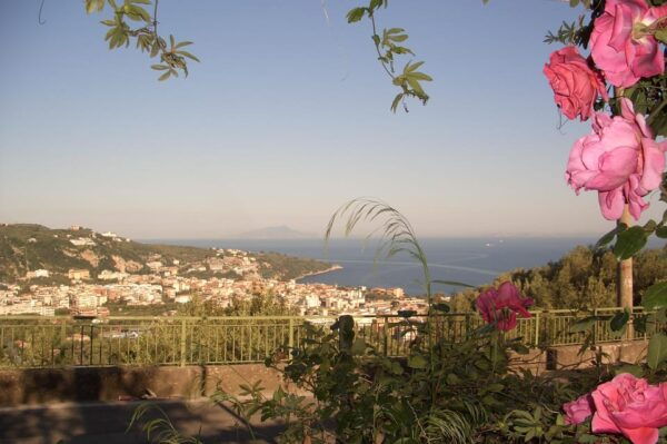 Sorrento: Walking Tour in Lemon Garden W/ Food Tasting - Taste of Local Delicacies