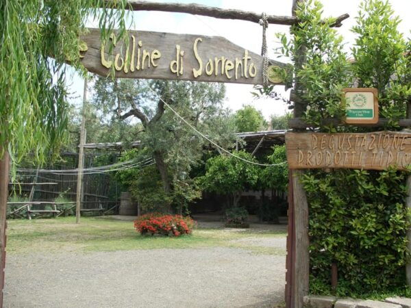 Sorrento: Walking Tour in Lemon Garden W/ Food Tasting - Frequently Asked Questions