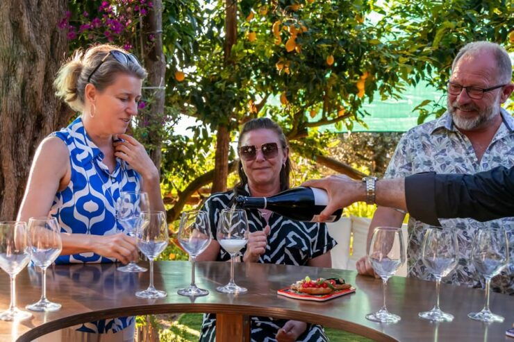SORRENTO: Wine Tasting Overlooking the Sea in a Lemon Grove - Wine Tasting Highlights