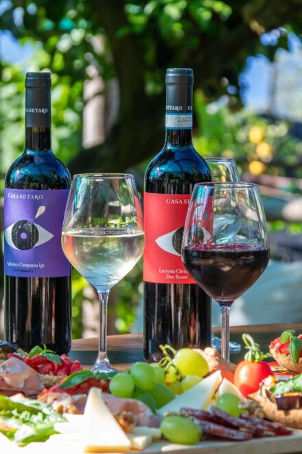 SORRENTO: Wine Tasting Overlooking the Sea in a Lemon Grove - Scenic Views and Atmosphere