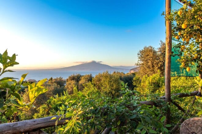 SORRENTO: Wine Tasting Overlooking the Sea in a Lemon Grove - Expert Sommelier Guidance
