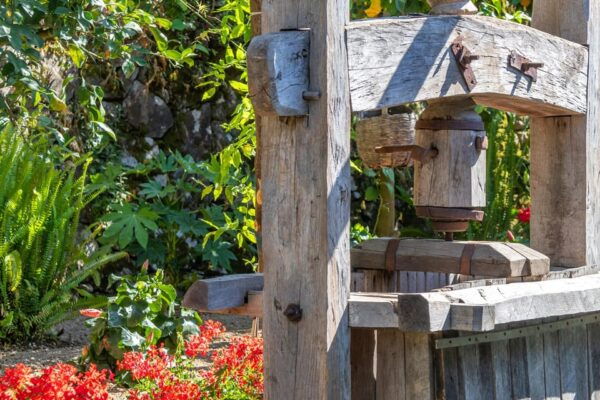 SORRENTO: Wine Tasting Overlooking the Sea in a Lemon Grove - Customer Experiences