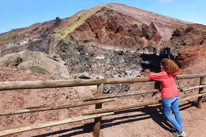 Sorrento:Enjoy Pompeii & Vesuvius/Winery in private transfer - Who This Tour Is Best For