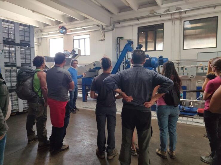 Sortino: Olive Oil Tasting With Sicilian Products and Wine - Good To Know