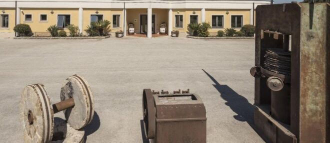 Sortino: Olive Oil Tasting With Sicilian Products and Wine - Language Options