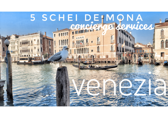 SOS Venice, WhatsApp Q&A Service by 5 SCHEI DE MONA - Communication via WhatsApp