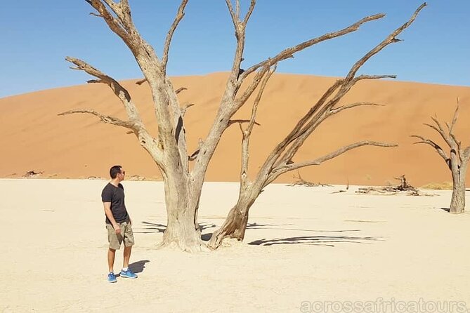 Sossusvlei, Swakopmund & Skeleton Coast Tour 6 Days/5 Nights. - Itinerary Highlights