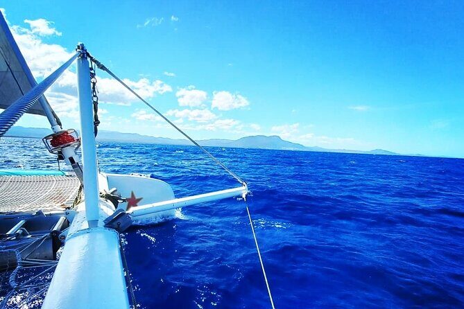 Sosua Catamaran Excursion - The Experience: What to Expect on the Water