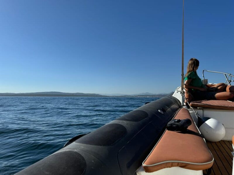 Sotogrande: Dolphin Watching Experience With Expert Crew - Good To Know