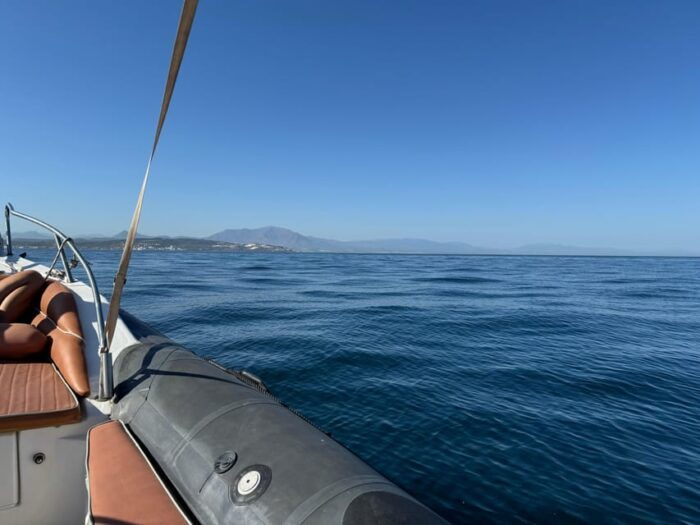 Sotogrande: Dolphin Watching Experience With Expert Crew - Customer Feedback and Ratings