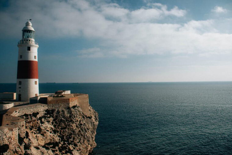 Sotogrande: Strait of Gibraltar Sailing Trip - Spotting Marine Life