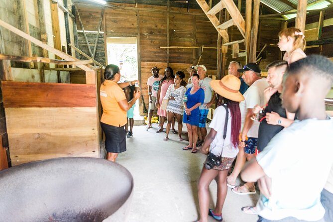 Soufriere Excursion with Rum & Chocolate Tasting - The Sum Up