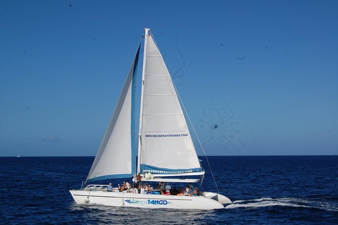 Soufriere Full-Day Land and Sea Combo Tour - Tour Highlights