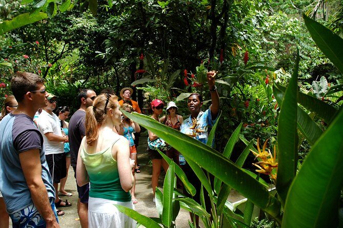 Soufriere Island Delight - Why This Tour Works