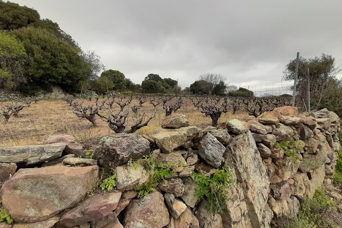 Sougia-Armos-Maza Hike Adventure - Planning Your Sougia-Armos-Maza Hike