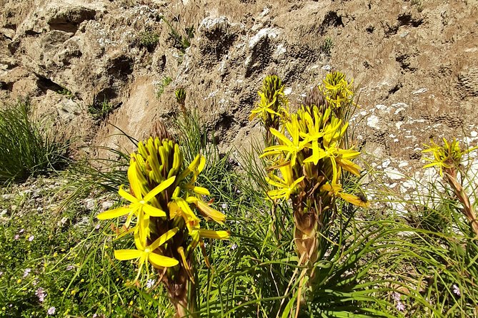 Sougia-Armos-Maza Hike Adventure - Common Questions