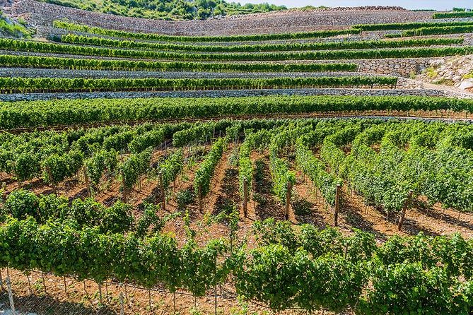 SOUL HEALING Wine Tour Montenegro - BEST PRIVATE TOUR - Good To Know